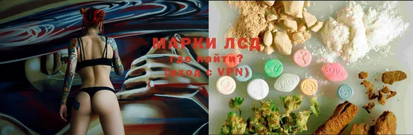 герыч Арсеньев