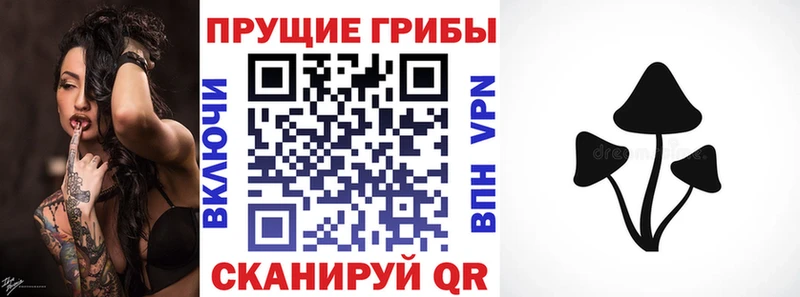 Галлюциногенные грибы мухоморы  МЕГА как зайти  Строитель 